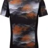 Mammut Aenergy FL T-shirt Men Light Fader
