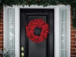 Holiday Living Christmas Wreath Berry Indoor Or Outdoor 24-in -Dalbello shop 17745184c L