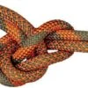 Mammut 9.5 Crag Dry Rope