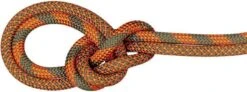 Mammut 9.5 Crag Dry Rope