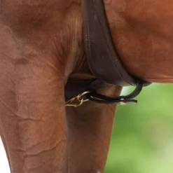 Victor Supreme Bob Hart Adjustable Arabian Training Martingale -Dalbello shop 25506 alt c