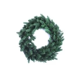 TWINKLY RGB+W 24-in Pre-Lit Indoor Electrical Outlet Green Artificial Christmas Wreath With 50 Multicolour And Warm White LED -Dalbello shop 331066638 MainImage 001 l