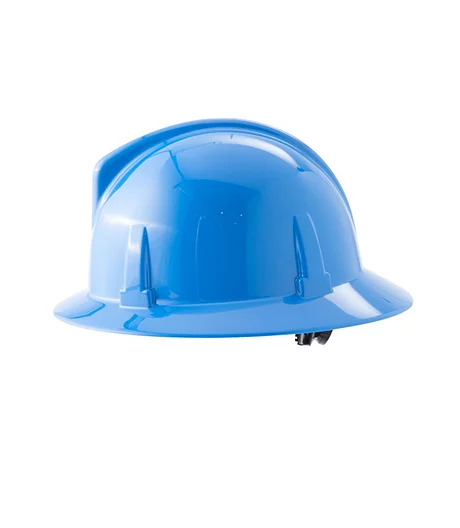 MSA/ANSI Topguard Hard Hat 1 MSA/ANSI Topguard Hard Hat