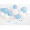 Blue Gingham 1st Bday Balloon Arch Kit