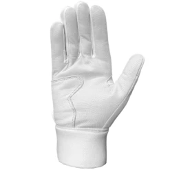 Stinger Winder Series White-Out Batting Gloves -Dalbello shop Stingerwinderwhiteoutglovespalm