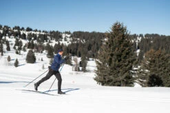 Cross-Country Skis With Xcelerator Bindings - XC S 550 Skins Soft Camber -Dalbello shop cross country skis with xcelerator bindings xc s 550 skins soft camber 6